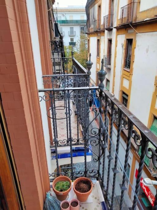 Appartement El Prado